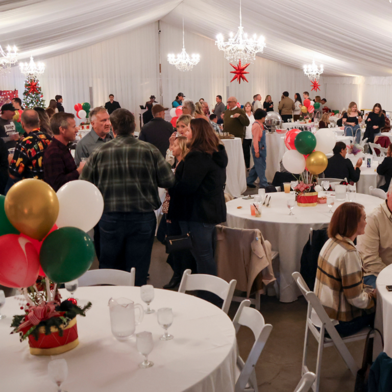 Holiday Party Celebration in the Pavilion at Haggin Oaks