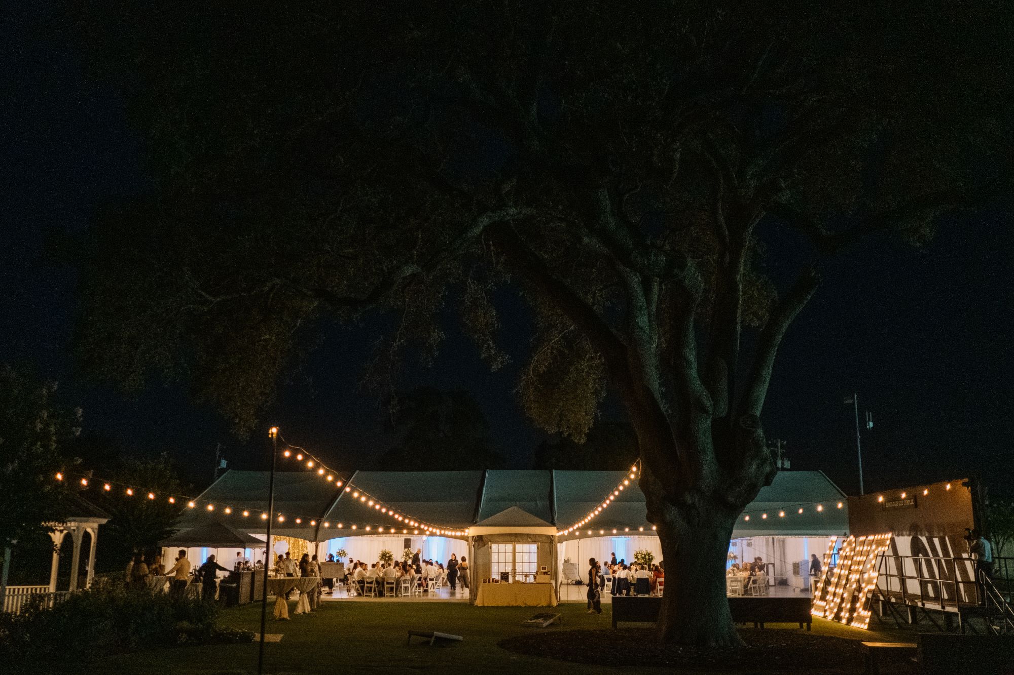 Nighttime event at The Pavilion at Haggin Oaks featuring illuminated string lights, a large reception tent, and guests gathered beneath a historic tree in Sacramento.