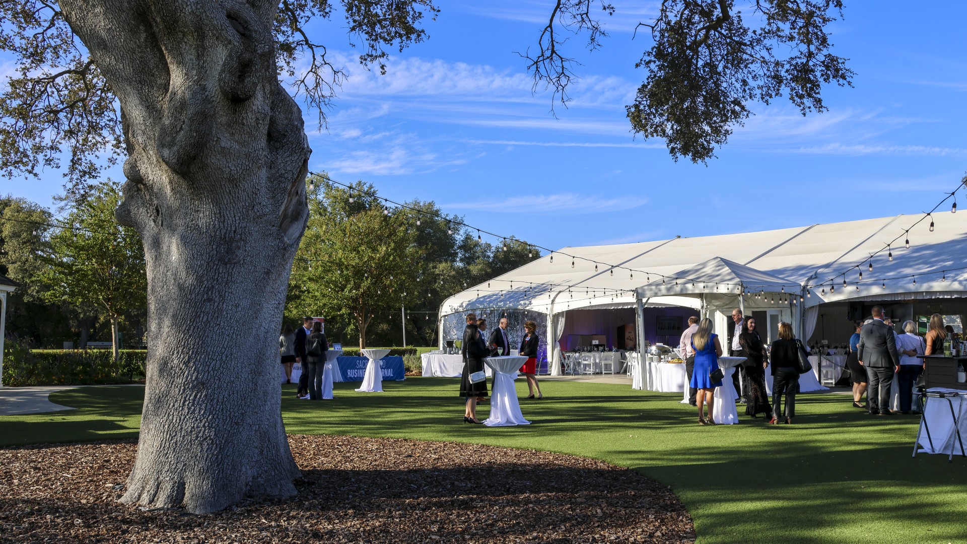 Outdoor corporate event at The Pavilion at Haggin Oaks featuring guests networking on the lawn, cocktail tables, a large reception tent, string lights, and a mature oak tree in Sacramento.