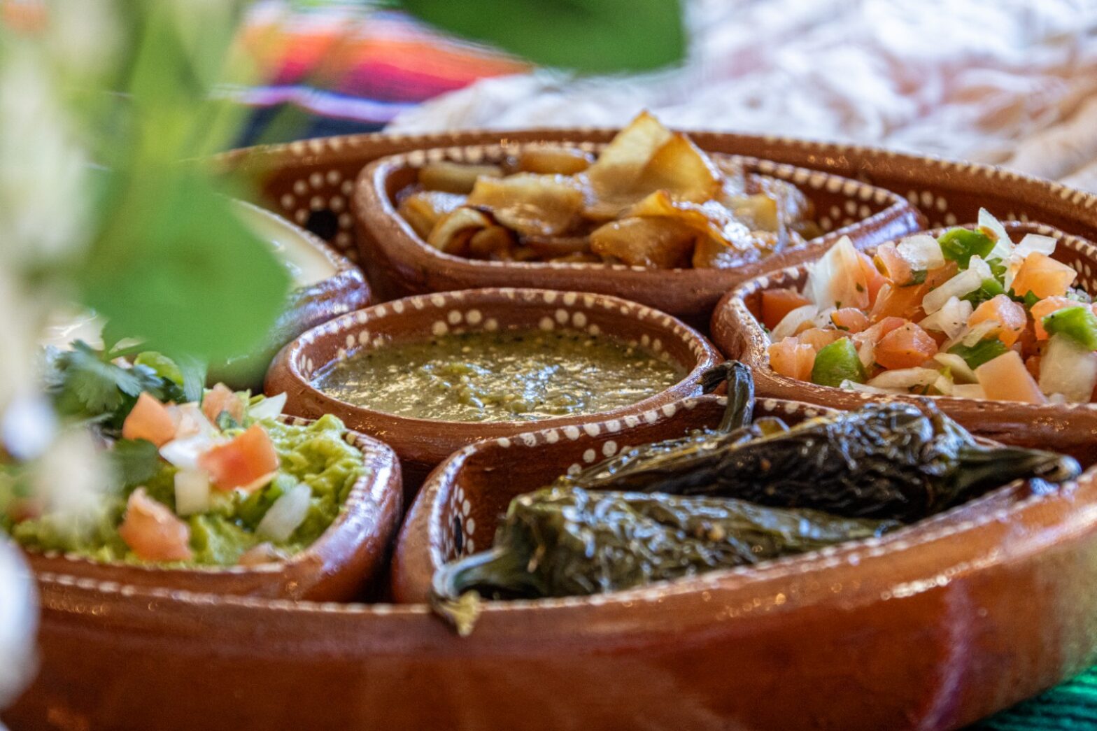 Mexican-style appetizer display featuring guacamole, salsa, roasted peppers, tortilla chips, and fresh toppings served in traditional ceramic dishes at an event at The Pavilion at Haggin Oaks in Sacramento.